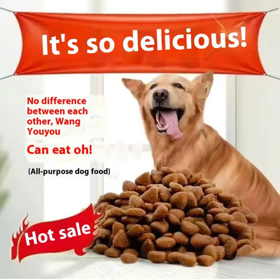 healthy dog food