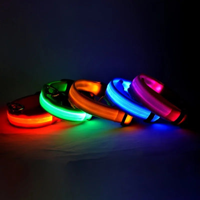 Dog Leash Dogs Luminous Fluorescent Pet Dog Colla