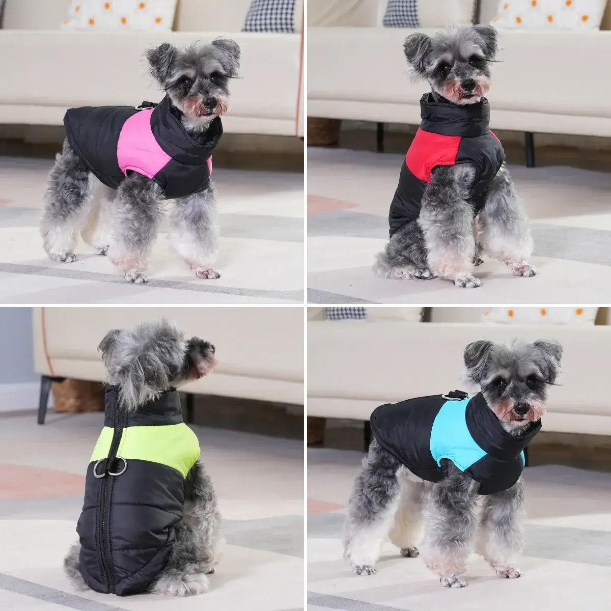 Winter Dog Clothes 