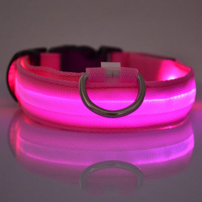 Dog Leash Dogs Luminous Fluorescent Pet Dog Colla