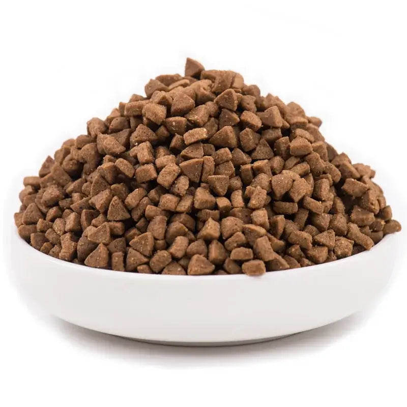 healthy dog food