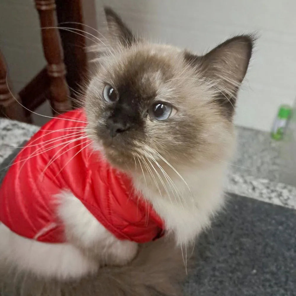 Winter Pet Puppy Dog Cat Clothes