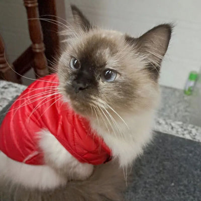 Winter Pet Puppy Dog Cat Clothes