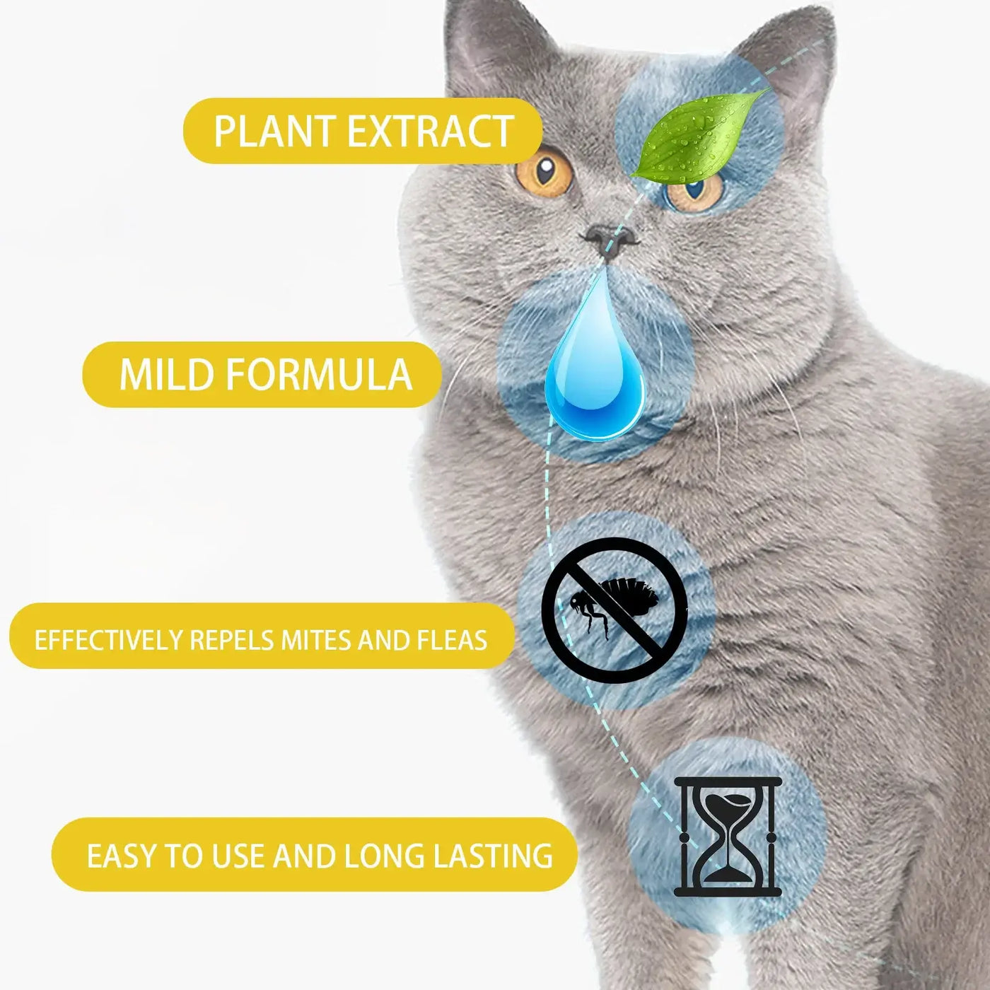 treatment for cats