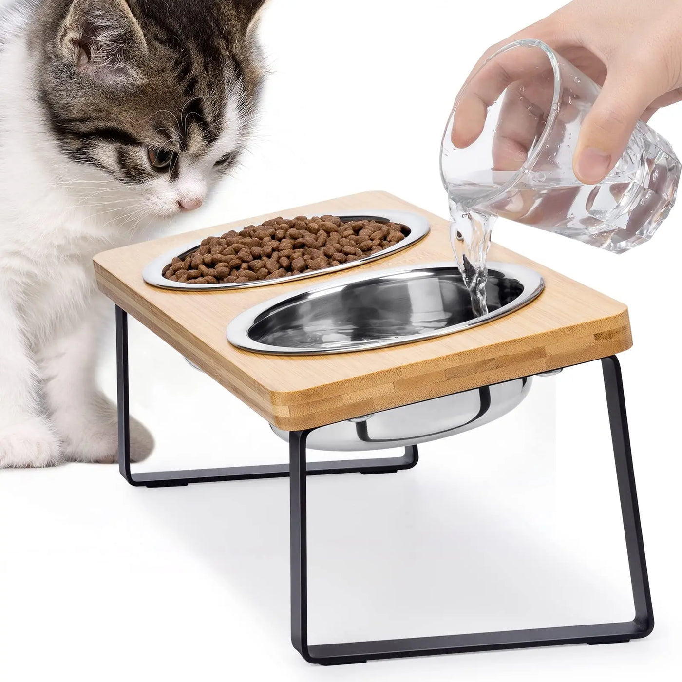 Stainless Steel Bowls for Cats and Puppy
