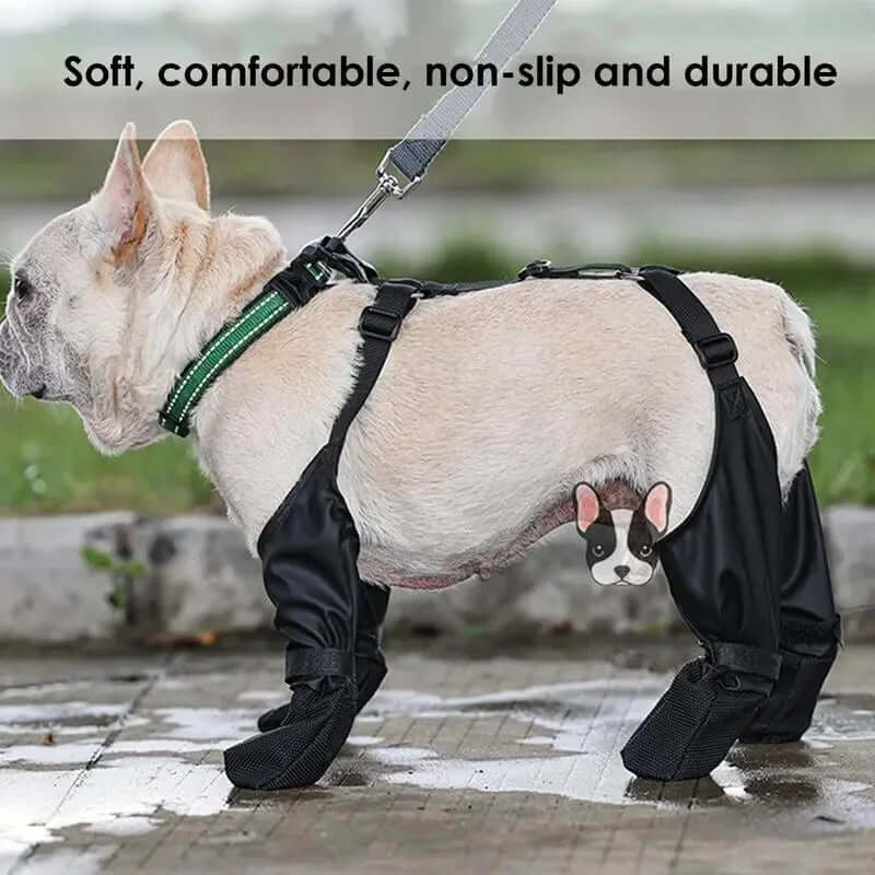 waterproof dog shoes