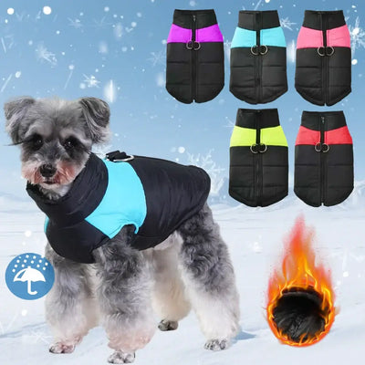 Winter Dog Clothes 