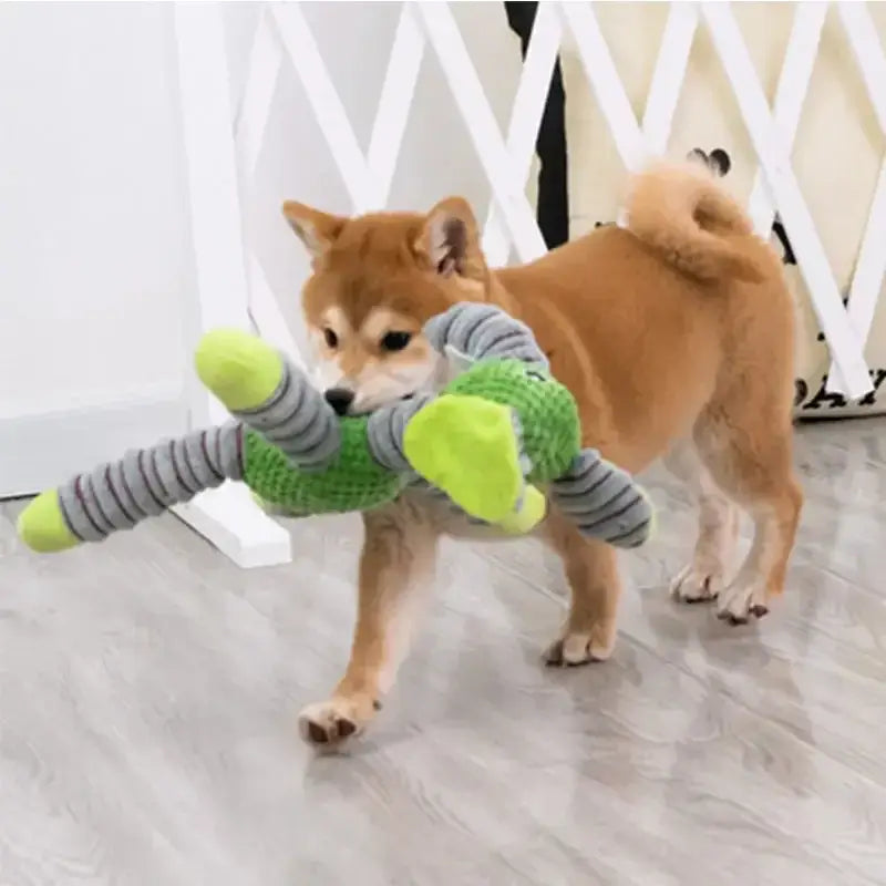 squeaky toys for dog