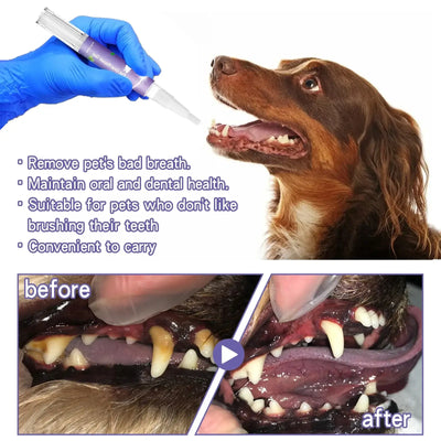 Dog Dental Care 