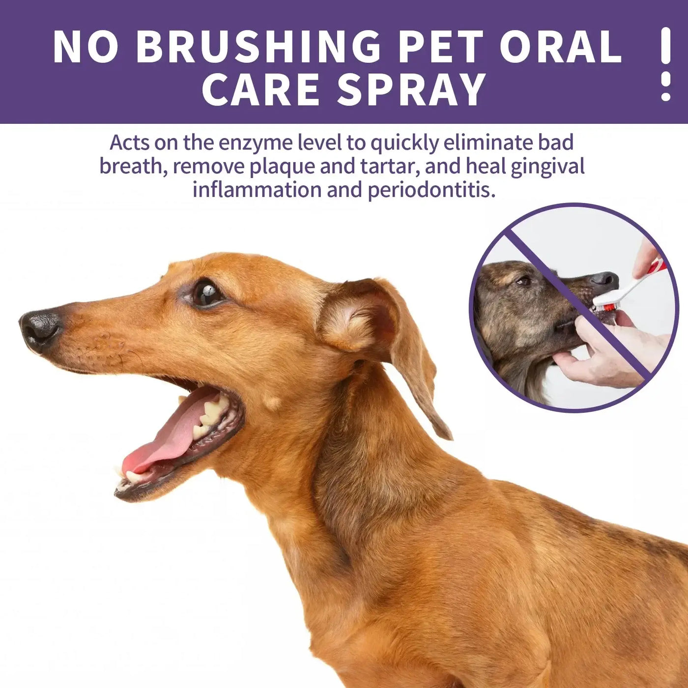 Dog Teeth Cleaning Spray 