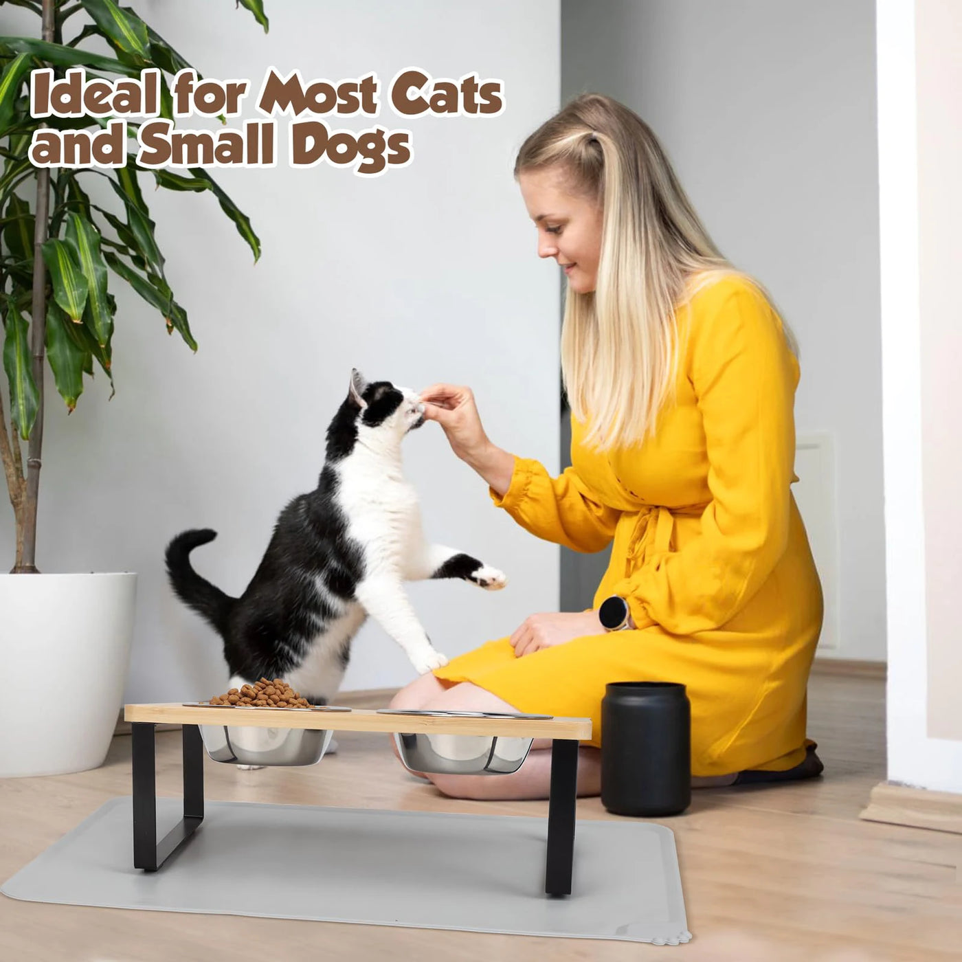 Stainless Steel Bowls for Cats and Puppy