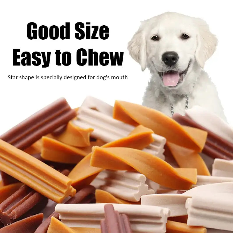 dog Snack Food