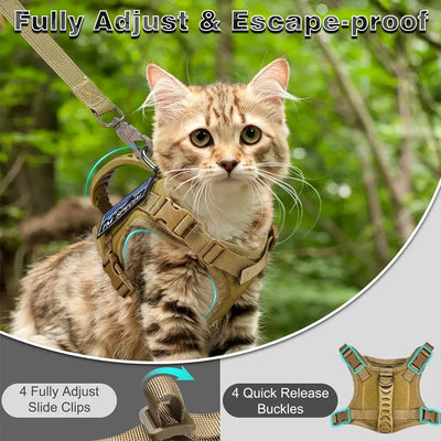 cat harness