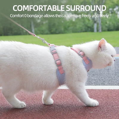 Cat Harness