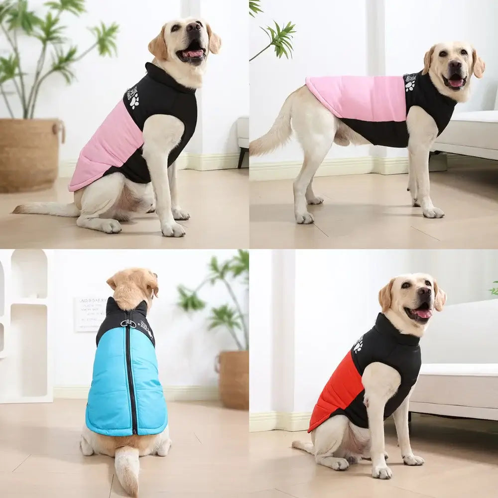 Dog Winter Coat