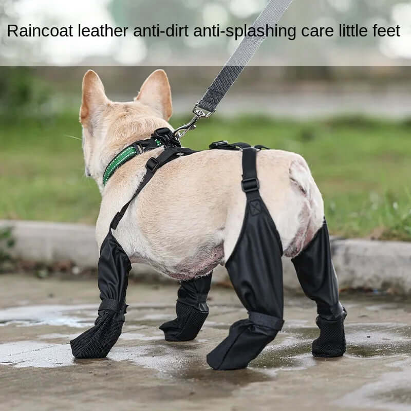 waterproof dog shoes