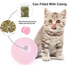 Smart Cat Toys Interactive Ball Catnip Cats Toy Playing Ball cs06jp-nn.myshopify.com