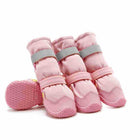 dog footwear