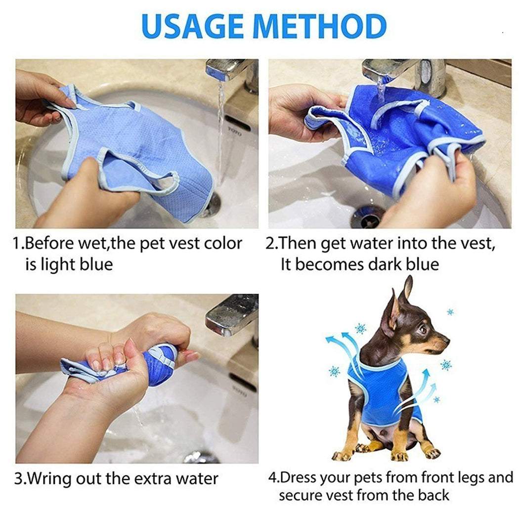 Dog wearing blue summer cooling vest for heat relief
