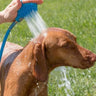 Pet Bathing Gloves Outdoor Shower Dog Bath Silicone Nozzle Hand-held Massage Bath Pet Shower Brush