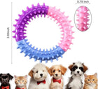 dog chew toys