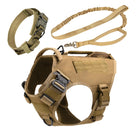 dog harness