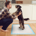 50Pcs Per Set Dog Training Pads Puppy Pee Pads Cat Wee Mats Potty-Train 24in X 18in M