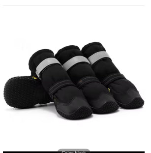 dog footwear