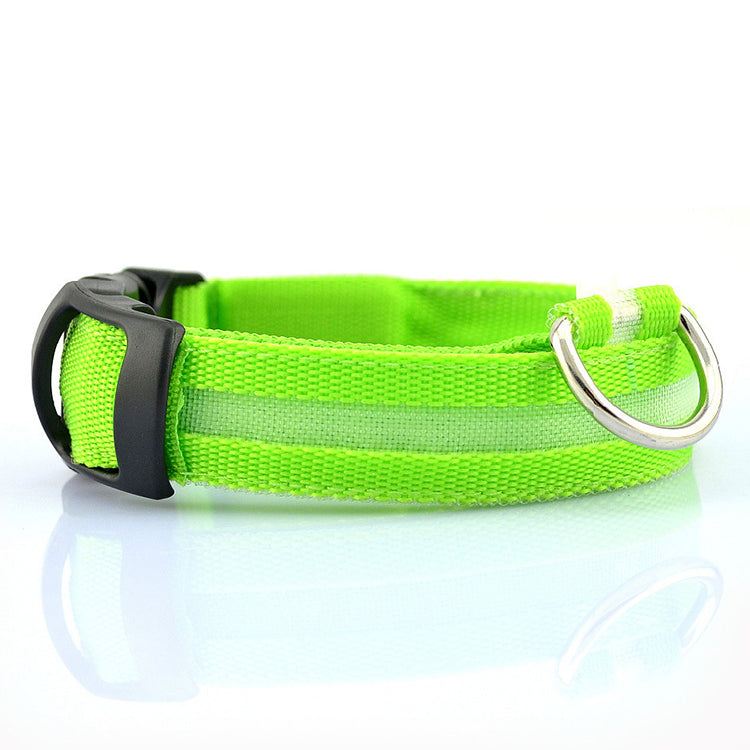 USB rechargeable LED pet dog collar glowing in the dark for nighttime visibility and safety