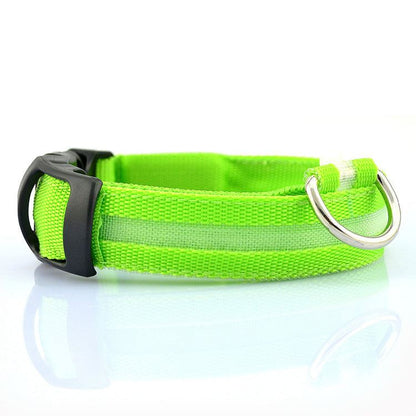 USB rechargeable LED pet dog collar glowing in the dark for nighttime visibility and safety