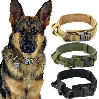 Durable military tactical dog collar with handle and double buckle for fast shipping