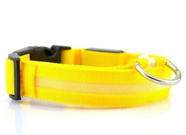 USB rechargeable LED pet dog collar for high visibility night walks with adjustable sizes and multiple light modes