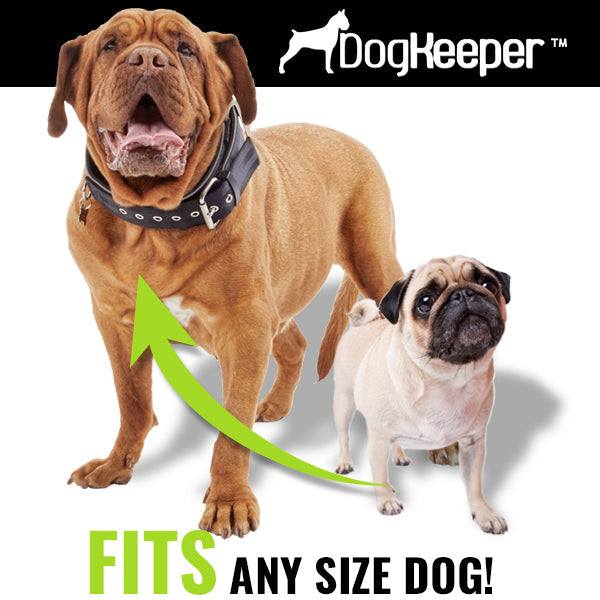 DogKeeper 360-degree swivel outdoor dog tether for safe pet freedom and exercise