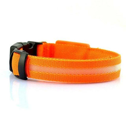 USB rechargeable LED pet dog collar glowing blue on black background