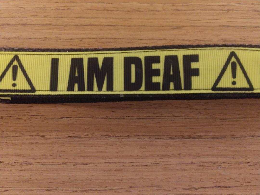 Large leash 6 feet with wide handle and d-ring, durable and fashionable