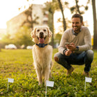 1Set Electric Dog Fence System Pet Tone Shock Boundary Containment Water Resistant Collar Receiver For Small Medium Large Dog