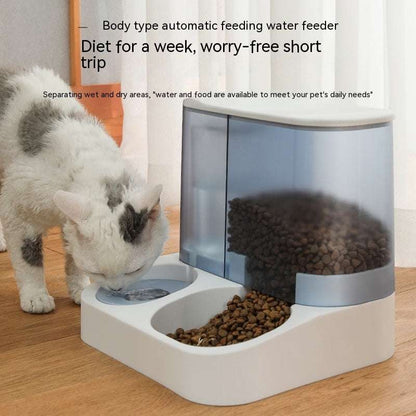 Gray automatic pet feeder bowl for cats in pink and blue options