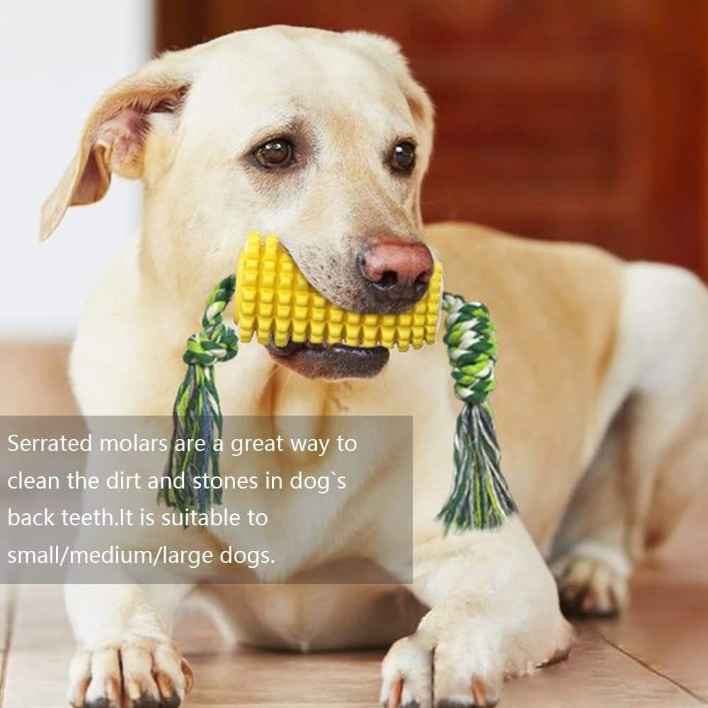 Durable squeaky dog toys for strong chewers in small, medium, and large sizes