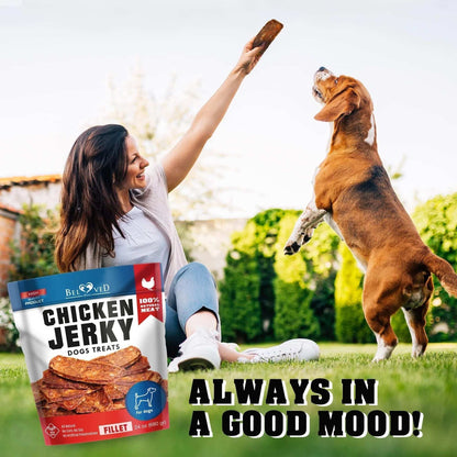 Chicken Jerky Dog Treats 1.5 lb bag, grain-free, 100% natural chicken fillet for healthy training and dental care