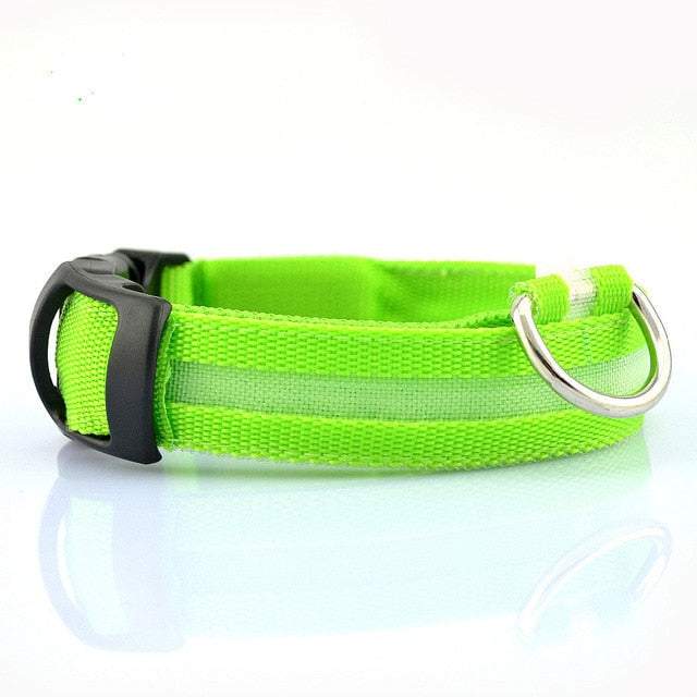 2 PCS set nylon LED dog collars with flashing light for dogs in multiple sizes and colors