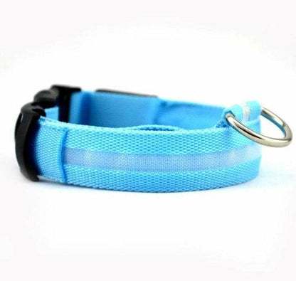 2 PCS set nylon LED dog collars with flashing lights for visibility in red, blue, yellow, green, and orange colors
