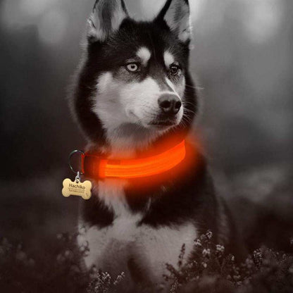 2 PCS set of nylon LED dog collars in various colors with adjustable sizes and flashing modes