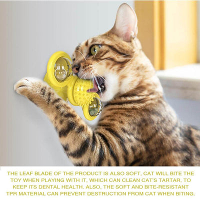 Interactive cat toy