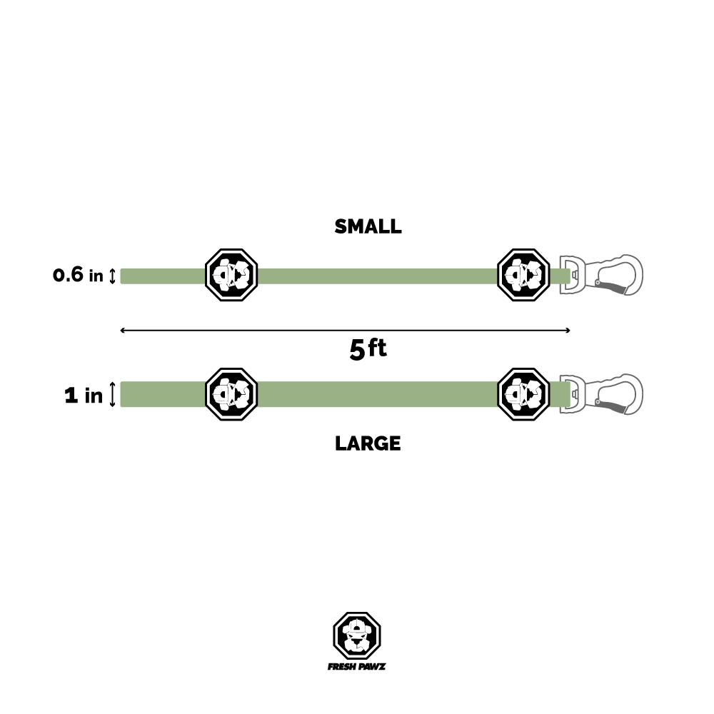 Kilo Cuban Link 14K gold luxury dog leash for XL dogs, handmade in Canada, durable marine-grade steel chain